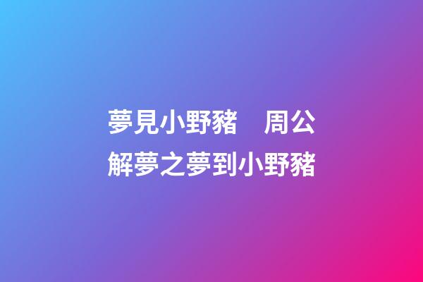 夢見小野豬　周公解夢之夢到小野豬